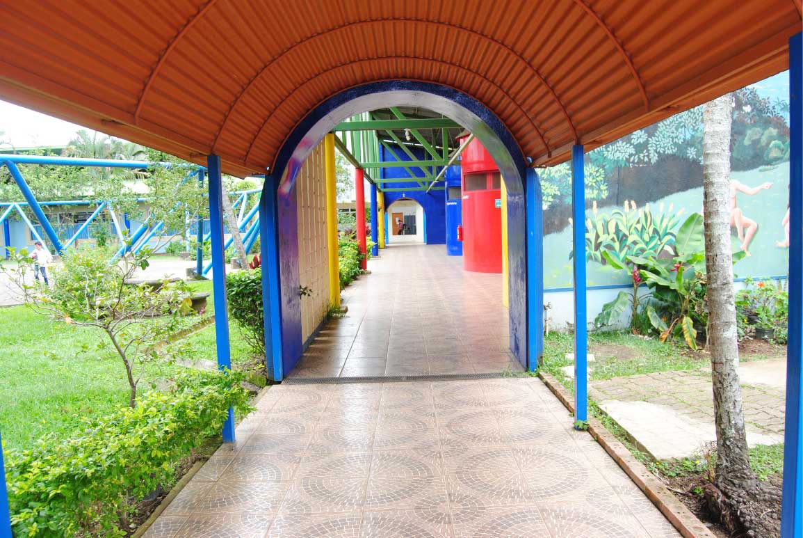 Rol del docente: guiar, no imponer
