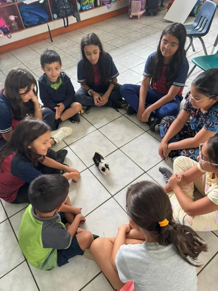 Taller de MiniVets - Colegio Internacional Canadiense
